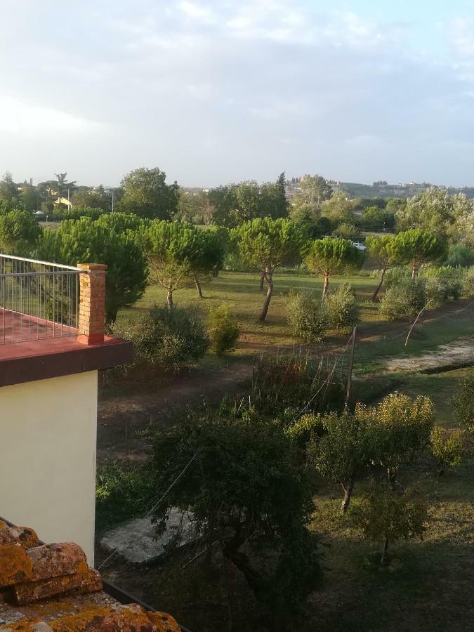 Apartamento Casa Tafi Castelfiorentino Exterior foto